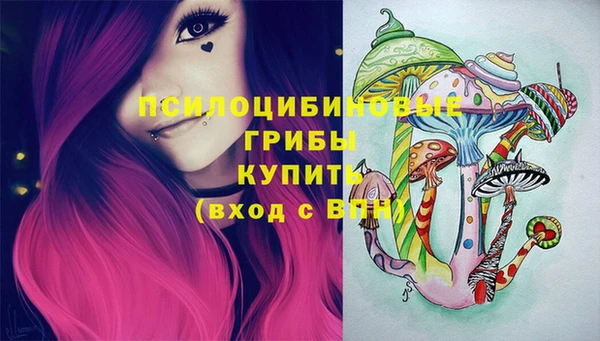 дмт Алексеевка