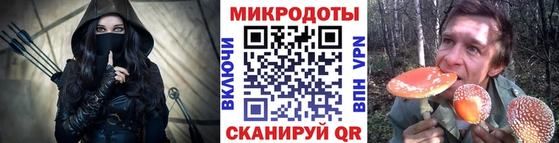 Галлюциногенные грибы Psilocybine cubensis  Ступино 